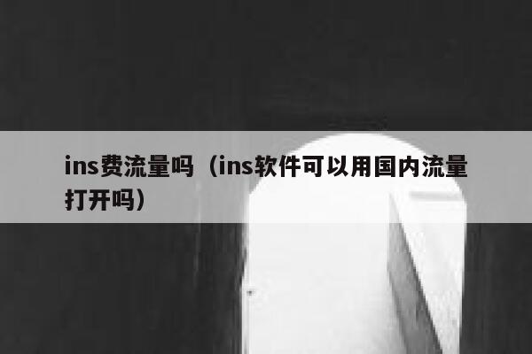 ins费流量吗（ins软件可以用国内流量打开吗） 第1张