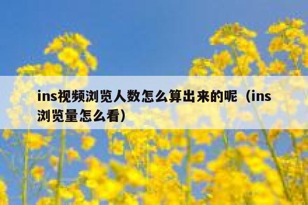 ins视频浏览人数怎么算出来的呢（ins浏览量怎么看） 第1张