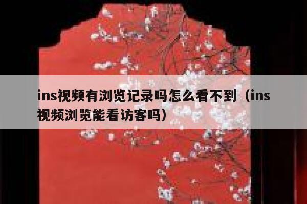ins视频有浏览记录吗怎么看不到(ins视频浏览能看访客吗) 第1张 ins视频有浏览记录吗怎么看不到(ins视频浏览能看访客吗) 第1张