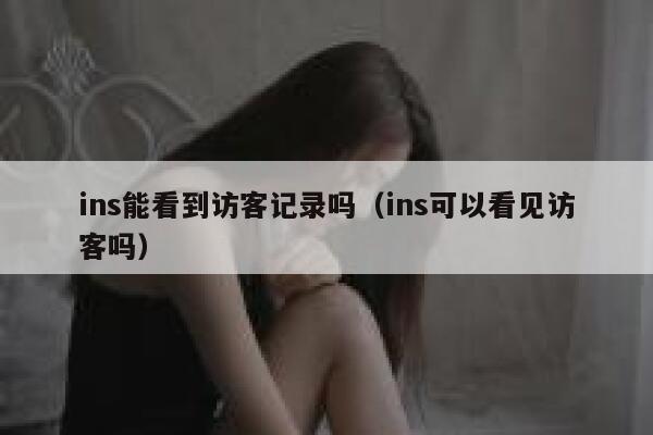 ins能看到访客记录吗(ins可以看见访客吗) 第1张 ins能看到访客记录吗(ins可以看见访客吗) 第1张