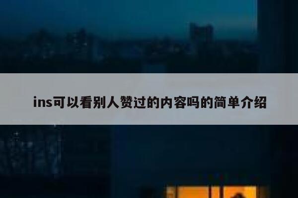 ins可以看别人赞过的内容吗的简单介绍 第1张