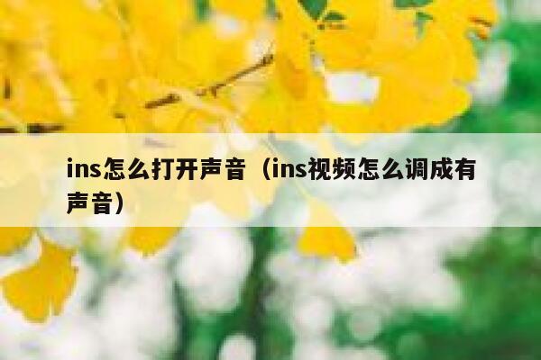 ins怎么打开声音(ins视频怎么调成有声音) 第1张 ins怎么打开声音(ins视频怎么调成有声音) 第1张