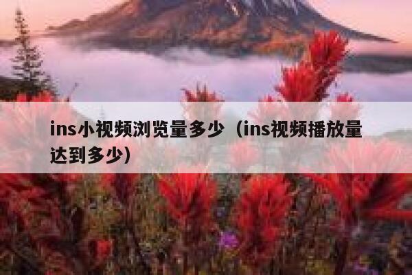 ins小视频浏览量多少（ins视频播放量达到多少） 第1张
