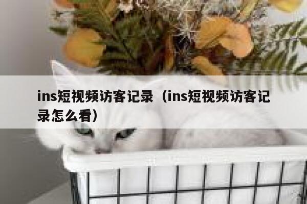 ins短视频访客记录（ins短视频访客记录怎么看） 第1张