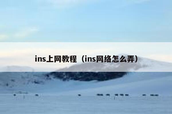 ins上网教程(ins网络怎么弄) 第1张 ins上网教程(ins网络怎么弄) 第1张