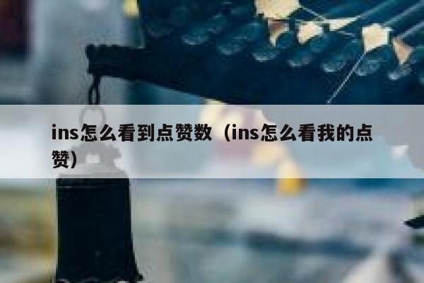 ins怎么看到点赞数(ins怎么看我的点赞) 第1张 ins怎么看到点赞数(ins怎么看我的点赞) 第1张