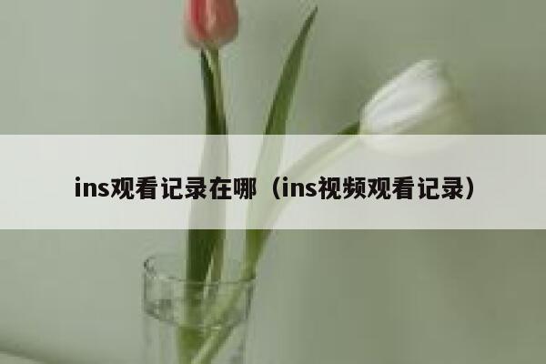 ins观看记录在哪(ins视频观看记录) 第1张 ins观看记录在哪(ins视频观看记录) 第1张