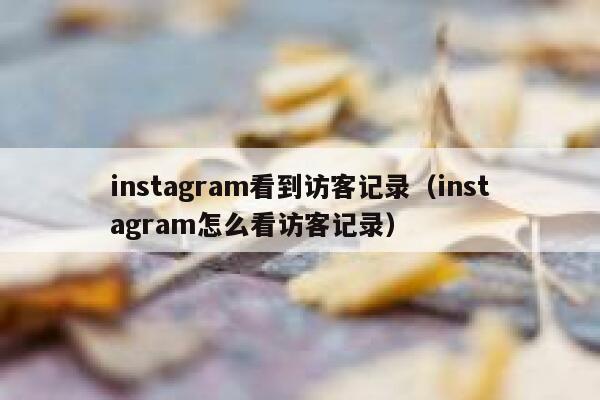 instagram看到访客记录(instagram怎么看访客记录) 第1张 instagram看到访客记录(instagram怎么看访客记录) 第1张