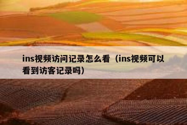 ins视频访问记录怎么看(ins视频可以看到访客记录吗) 第1张 ins视频访问记录怎么看(ins视频可以看到访客记录吗) 第1张