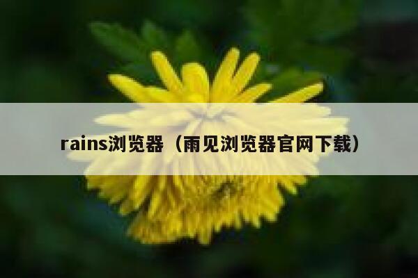rains浏览器(雨见浏览器官网下载) 第1张 rains浏览器(雨见浏览器官网下载) 第1张