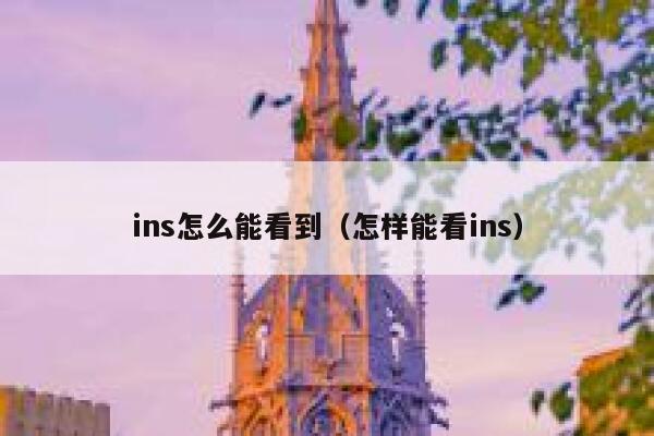 ins怎么能看到（怎样能看ins） 第1张