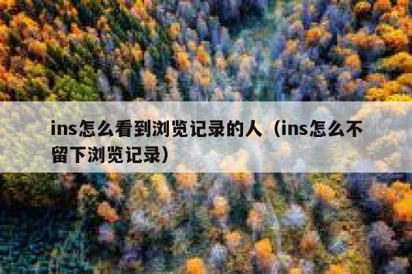 ins怎么看到浏览记录的人(ins怎么不留下浏览记录) 第1张 ins怎么看到浏览记录的人(ins怎么不留下浏览记录) 第1张