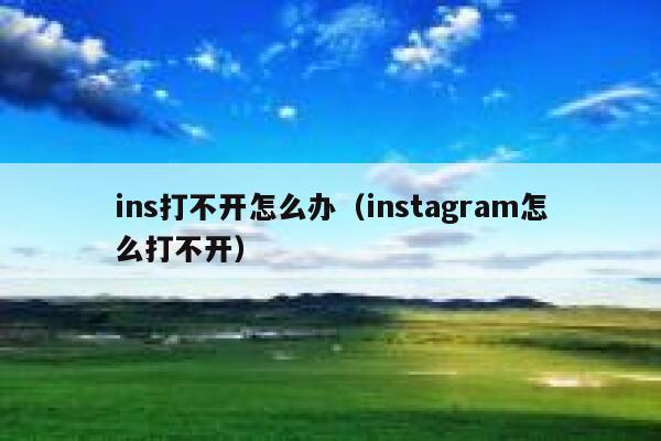 ins打不开怎么办(instagram怎么打不开) 第1张 ins打不开怎么办(instagram怎么打不开) 第1张