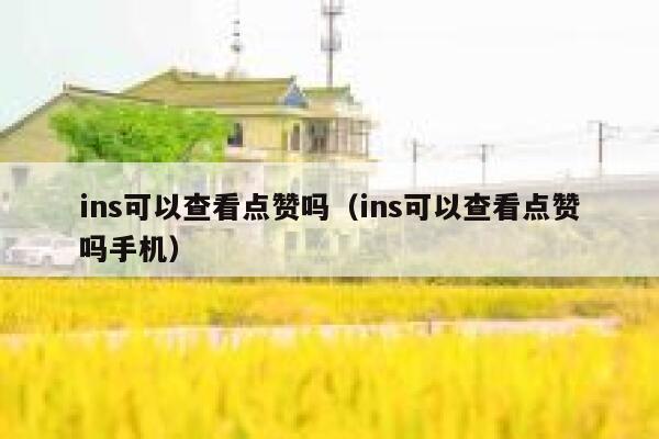 ins可以查看点赞吗（ins可以查看点赞吗手机） 第1张
