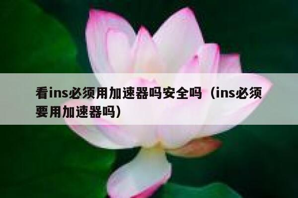 看ins必须用加速器吗安全吗（ins必须要用加速器吗） 第1张