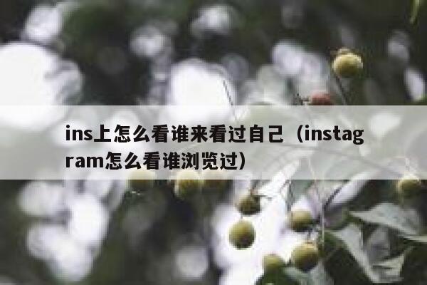 ins上怎么看谁来看过自己（instagram怎么看谁浏览过） 第1张