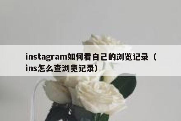 instagram如何看自己的浏览记录（ins怎么查浏览记录） 第1张