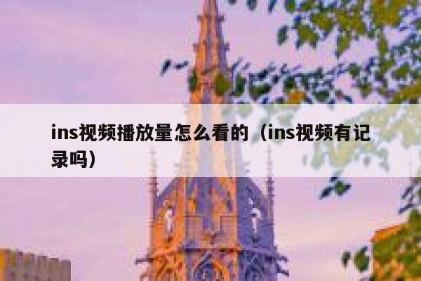 ins视频播放量怎么看的(ins视频有记录吗) 第1张 ins视频播放量怎么看的(ins视频有记录吗) 第1张