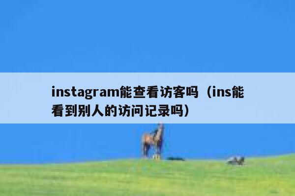 instagram能查看访客吗(ins能看到别人的访问记录吗) 第1张 instagram能查看访客吗(ins能看到别人的访问记录吗) 第1张