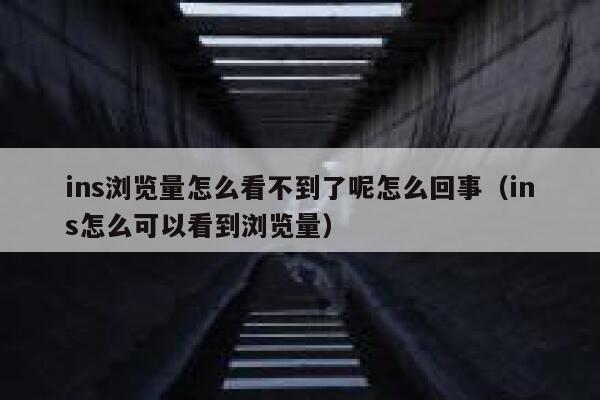 ins浏览量怎么看不到了呢怎么回事（ins怎么可以看到浏览量） 第1张