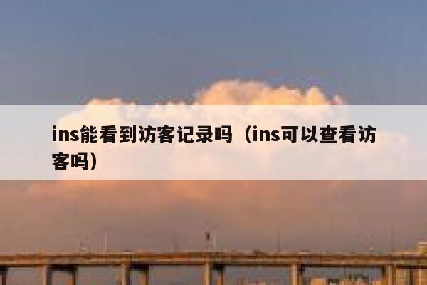 ins能看到访客记录吗（ins可以查看访客吗） 第1张