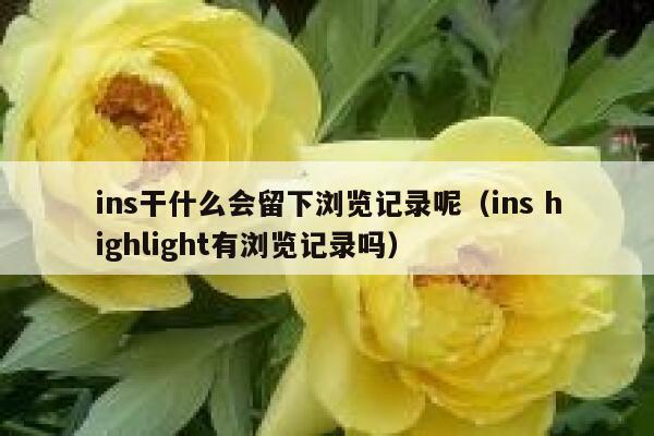 ins干什么会留下浏览记录呢（ins highlight有浏览记录吗） 第1张