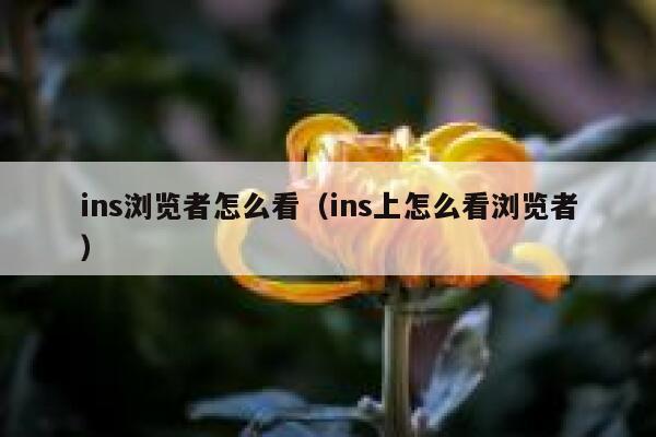 ins浏览者怎么看（ins上怎么看浏览者） 第1张