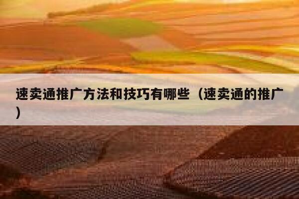 速卖通推广方法和技巧有哪些（速卖通的推广） 第1张