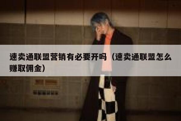 速卖通联盟营销有必要开吗（速卖通联盟怎么赚取佣金） 第1张