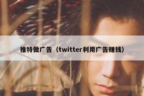 推特做广告（twitter利用广告赚钱） 第1张