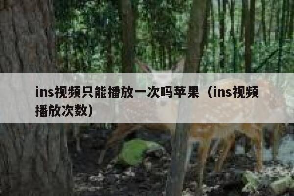 ins视频只能播放一次吗苹果（ins视频播放次数） 第1张