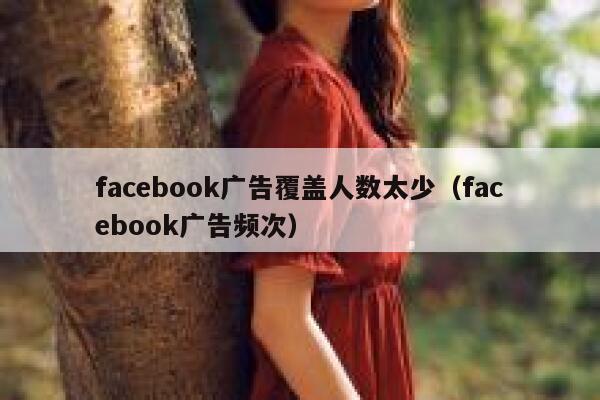 facebook广告覆盖人数太少（facebook广告频次） 第1张