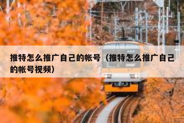 推特怎么推广自己的帐号（推特怎么推广自己的帐号视频） 第1张