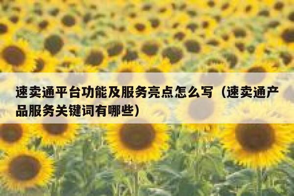 速卖通平台功能及服务亮点怎么写（速卖通产品服务关键词有哪些） 第1张