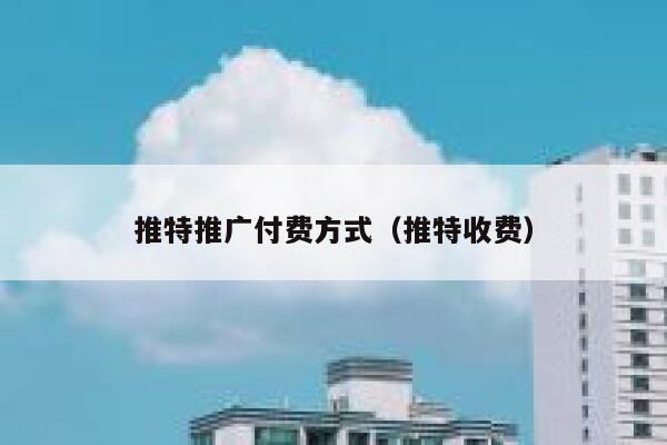 推特推广付费方式（推特收费） 第1张