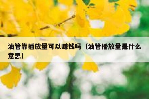 油管靠播放量可以赚钱吗（油管播放量是什么意思） 第1张