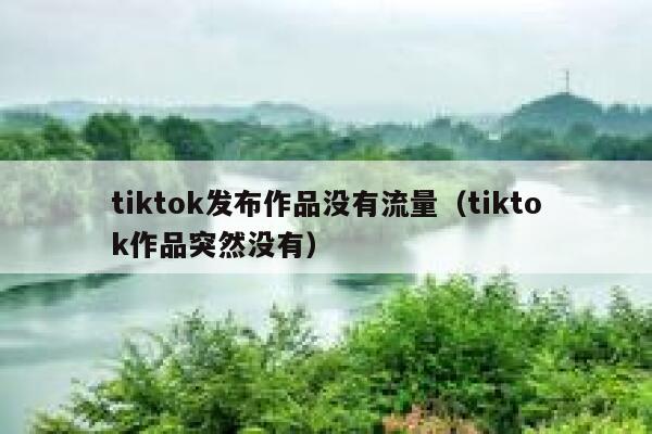 tiktok发布作品没有流量（tiktok作品突然没有） 第1张