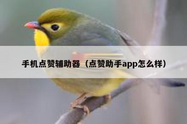 手机点赞辅助器（点赞助手app怎么样） 第1张