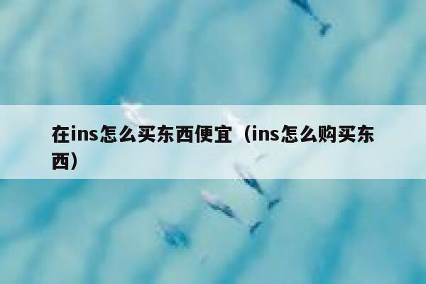 在ins怎么买东西便宜（ins怎么购买东西） 第1张
