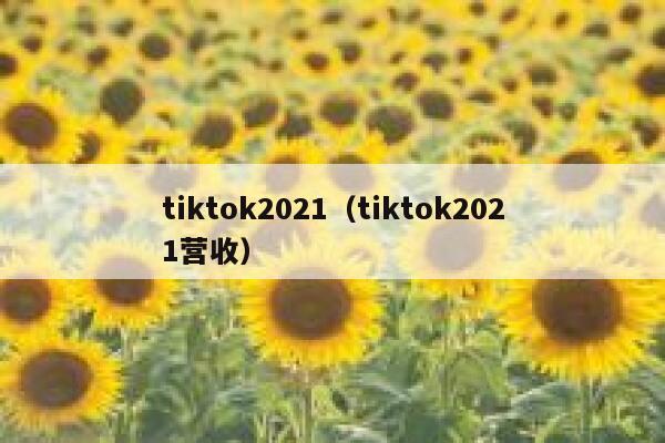 tiktok2021（tiktok2021营收） 第1张