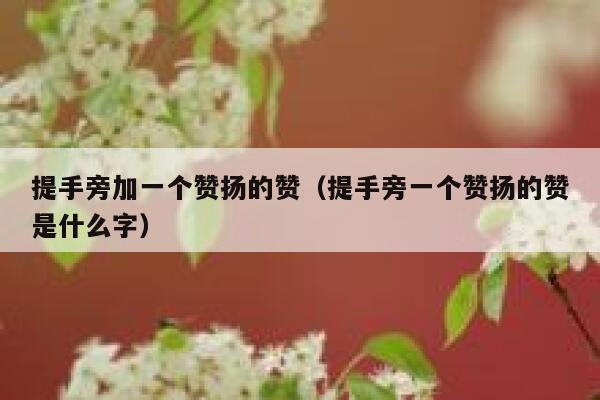 提手旁加一个赞扬的赞（提手旁一个赞扬的赞是什么字） 第1张