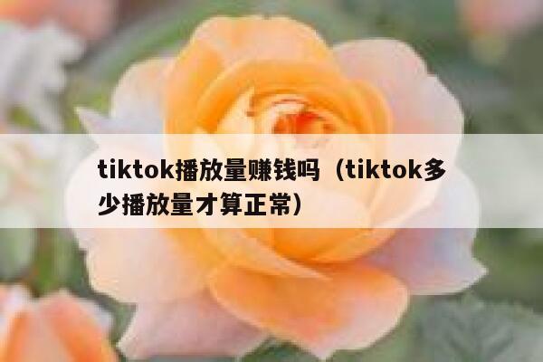 tiktok播放量赚钱吗（tiktok多少播放量才算正常） 第1张