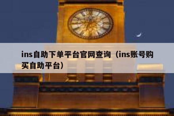 ins自助下单平台官网查询（ins账号购买自助平台） 第1张