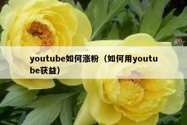 youtube如何涨粉（如何用youtube获益） 第1张