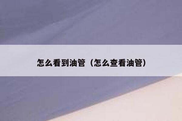 怎么看到油管（怎么查看油管） 第1张