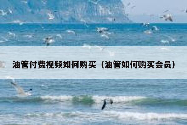 油管付费视频如何购买（油管如何购买会员） 第1张
