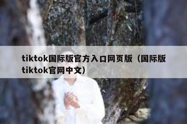 tiktok国际版官方入口网页版（国际版tiktok官网中文） 第1张