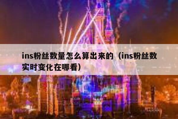ins粉丝数量怎么算出来的（ins粉丝数实时变化在哪看） 第1张