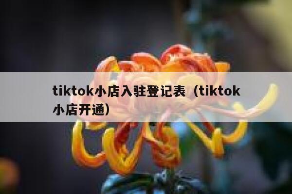 tiktok小店入驻登记表（tiktok小店开通） 第1张