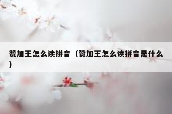 赞加王怎么读拼音（赞加王怎么读拼音是什么） 第1张